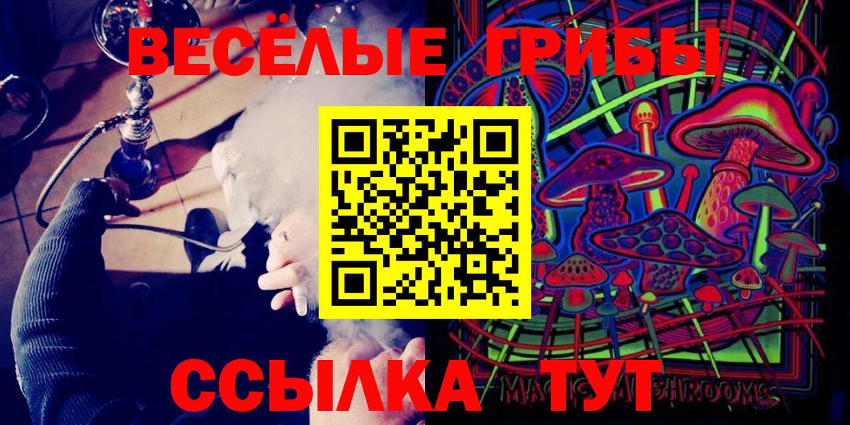 купить   Псилоцибиновые грибы Magic Shrooms  Вход с VPN  Элиста 
