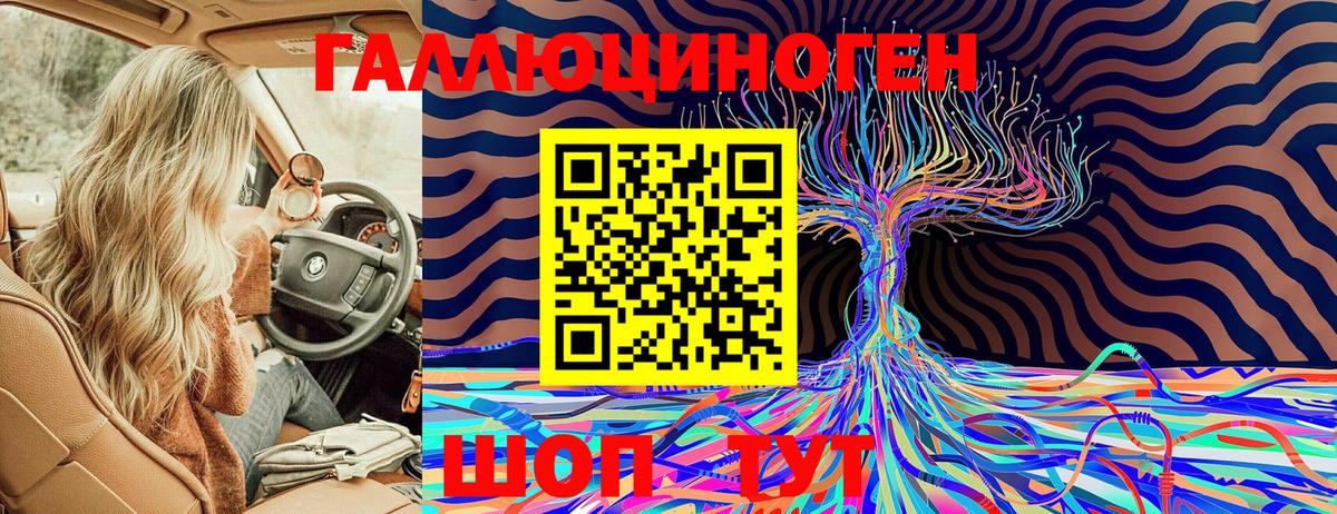 Галлюциногенные грибы Psilocybe Элиста